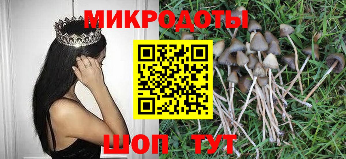 Псилоцибиновые грибы мухоморы Аргун