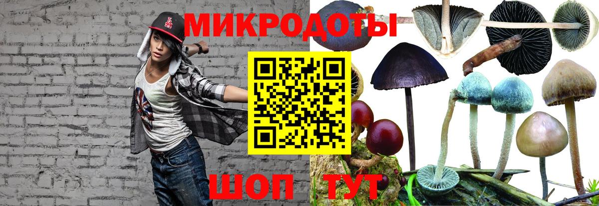Галлюциногенные грибы прущие грибы  Псилоцибиновые грибы ЛСД  Аргун  Вход с VPN 